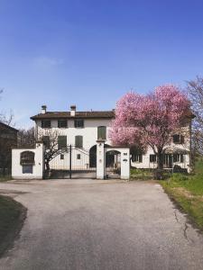 a white house with a gate and a flowering tree at Casa Luisa in Lesignana