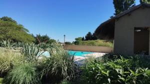 a swimming pool in a garden with a thatch roof at Suite 1 Las Macluras in Tandil