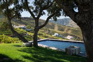 a swimming pool in the middle of a field with trees at Quinta da Côrte in Valença do Douro