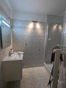 a bathroom with a shower and a sink and a shower at Chez Marie et Hugo in Brest