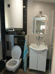 Koupelna v ubytování Apartmán Vyhlídka