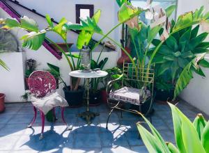 a patio with a table and chairs and plants at Captivating Studio Apartment in Mexilhoeira Grande in Mexilhoeira Grande