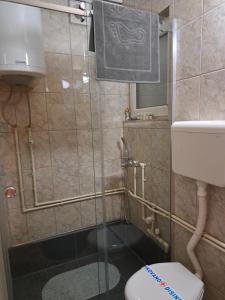 A bathroom at Apartman Fontana