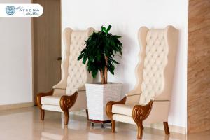 two chairs and a potted plant in a room at Hotel Tayrona del Mar in Santa Marta