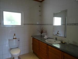 un bagno con un water, un lavandino e uno specchio di Sailfish Beach Villas a Anse a La Mouche
