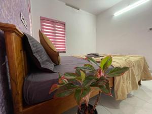 Postel nebo postele na pokoji v ubytování Varkala Life Homestay