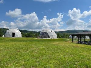 Příroda nedaleko luxury tent