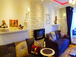 a living room with a couch and a fireplace at Visnja Apartment in Kopaonik