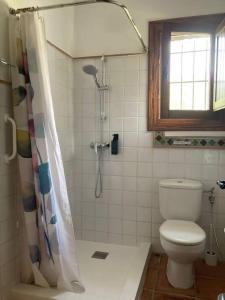 オルヒバにあるAlpujarra garden oasisのトイレとシャワー付きのバスルーム