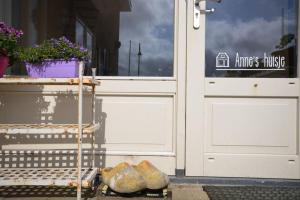 Fotografie z fotogalerie ubytování Anne's Family Home with private parking v destinaci Zandvoort