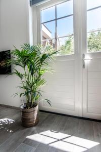Fotografie z fotogalerie ubytování Good Vibes Romantic Studio incl free private parking v destinaci Zandvoort