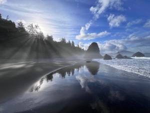 Gambar di galeri bagi The Cove at Port Orford - 5 Ocean Front Suites di Port Orford