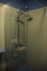 una doccia in un bagno con una porta in vetro di The Holy Ram Farm-Hotel a Snæfellsbær