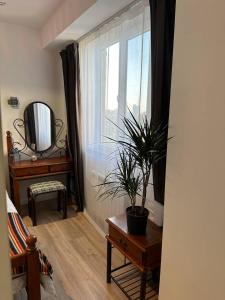 a living room with a plant on a table and a window at Superb loft Tashkent downtown in Tashkent
