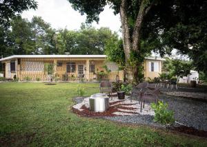 a house with a tree and chairs in a yard at Hacienda Cumbre Bella in Ciales