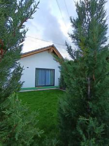 a white house with trees in front of it at La Cabane de Shakespeare mini-maison à Haguenau in Haguenau