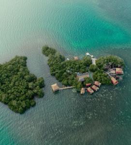 Gallery image of Urraca Monkey Island Eco Resort in Buena Vista