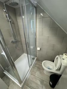 a bathroom with a shower and a toilet at Willesden Green Budget Guesthouse in London