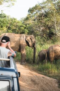 Gallery image of Sundaras Infinity Jungle Resort in Dambulla +39 photos