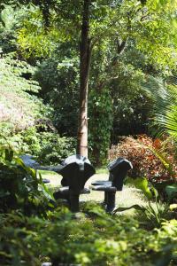 Gallery image of Sundaras Infinity Jungle Resort in Dambulla