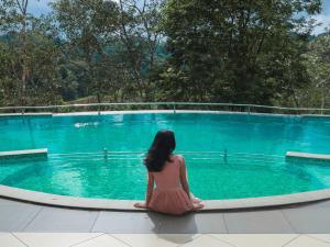 Bazen u ili blizu objekta Serene Crest Resort