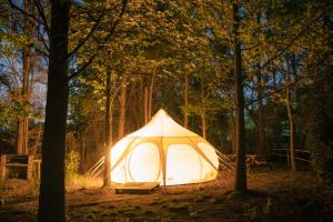 Fotografie z fotogalerie ubytování Glamping Remanso del Espíritu v destinaci Isla de Maipo