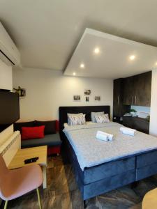 ノヴィサドにあるKala Apartmentの大きなベッドとソファのある寝室