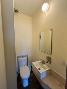 a bathroom with a white toilet and a sink at Hotel Nativo in Santiago
