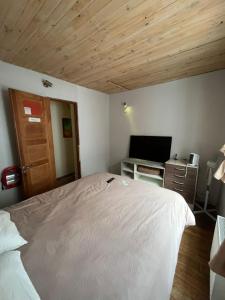 a bedroom with a bed and a flat screen tv at Hotel Nativo in Santiago