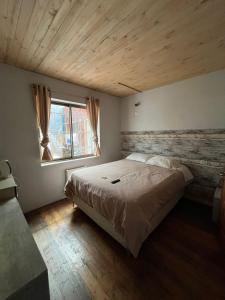 a bedroom with a large bed and a window at Hotel Nativo in Santiago