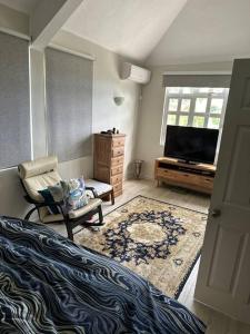 a bedroom with a tv and a bed and a chair at Les Dauphins Lataniers in La Gaulette
