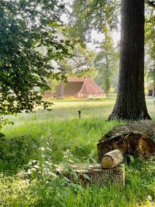 Galeriebild der Unterkunft Landgoed Bekspring in Oldenzaal