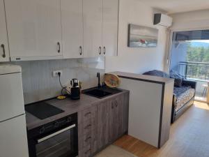 eine kleine Küche mit Spüle und Kühlschrank in der Unterkunft Nata in Divčibare