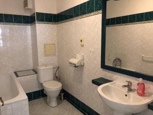 Koupelna v ubytování Apartman Reduta