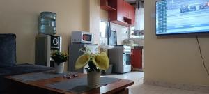 a living room with a tv and a table with plants at Siwarani Cozy Two bedroom,Kamakis Eastern Bypass Ruiru in Ruiru