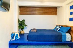 a bedroom with a blue bed with a window at Casa Arrecife Tortuga, Fast Internet, private Cozy room in La Ventana