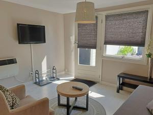 a living room with a couch and a table and a tv at Garden house, Free parking in Zandvoort