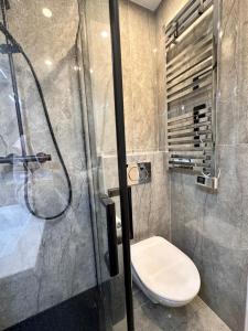 a bathroom with a shower and a toilet at STUDIO HORIZON - SEA VIEW - POOL- Air Conditioner - Kitchen - Wifi -TV Train - Bus - in Villeneuve-Loubet +15 photos