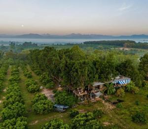 an aerial view of a house in the middle of a forest at Napahong Treehouse นาป่าฮง in Ban Pa Ha