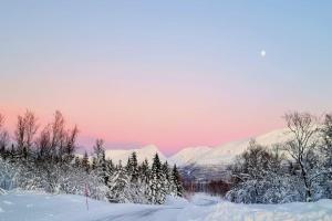 a snow covered field with trees and mountains in the background at Lillehytta årøybuktneset in Elvejord