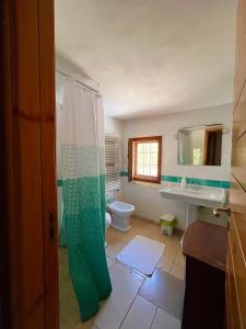 Un baño con ducha, lavabo e inodoro. en I Trulli della NaturaBio, en Martina Franca