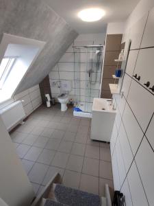 an attic bathroom with a toilet and a sink at Alte Schule in Altratjensdorf