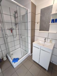 a bathroom with a shower and a sink at Alte Schule in Altratjensdorf +14 photos