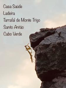 a picture of a rock with the names of continents at Casa Saúde in Seladinha