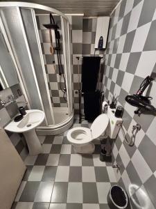 a bathroom with a toilet and a sink at Vintage Cozy Suite in Vodno