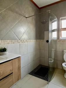 ein Badezimmer mit Dusche und Toilette in der Unterkunft Grey Net in Palatswe