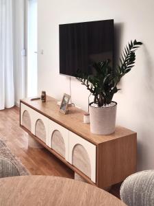 TV a/nebo společenská místnost v ubytování Apartman Raj + 11 fotografií