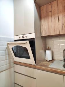 Kuchyň nebo kuchyňský kout v ubytování Apartman Raj