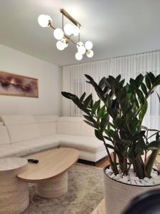 Posezení v ubytování Apartman Raj