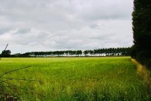 Gallery image of Art-hill in Jabbeke